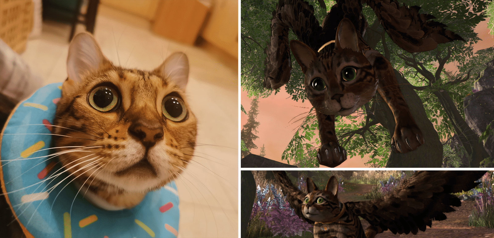 Изображение из объявления Steam