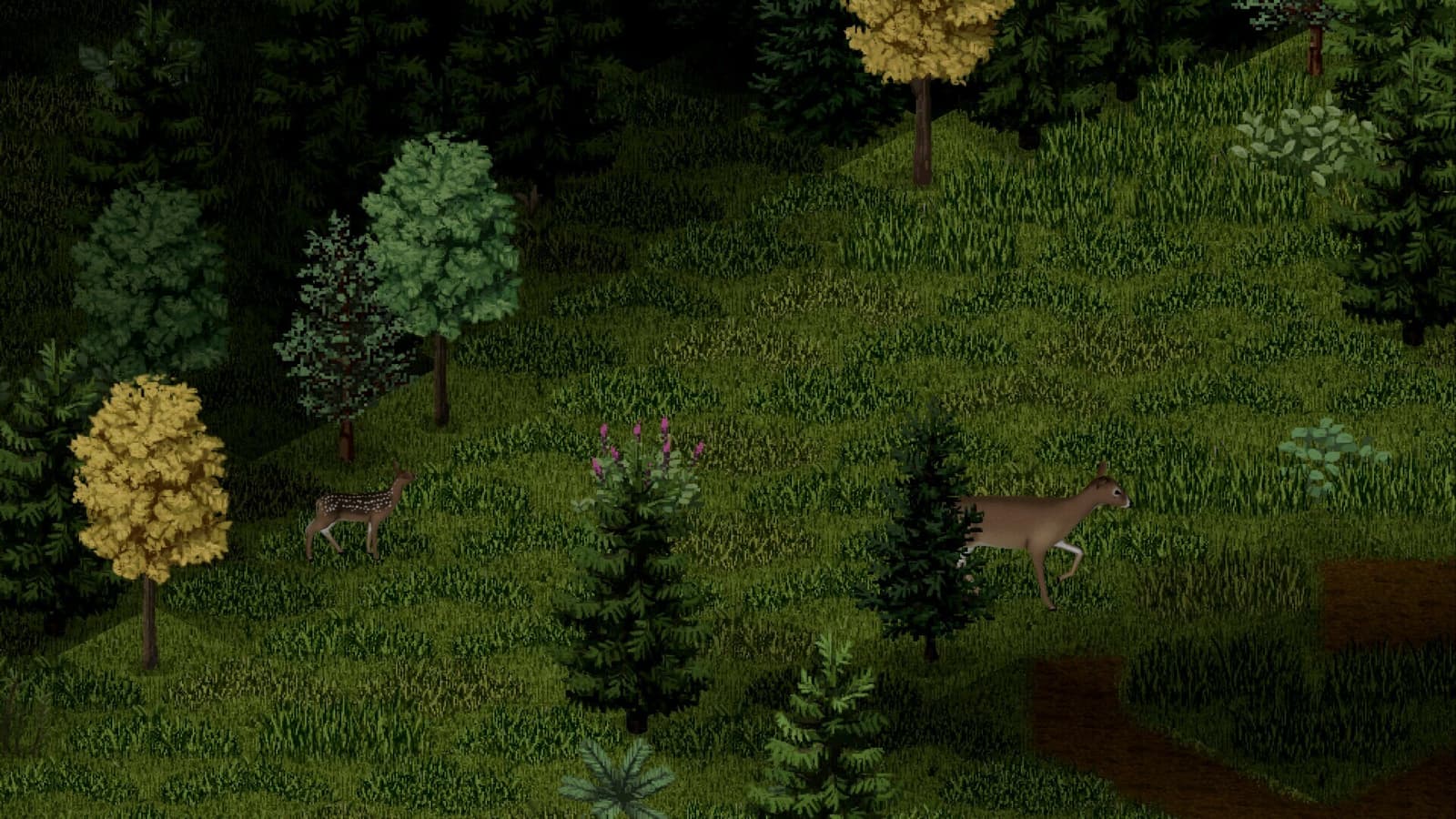Изображение из объявления Steam