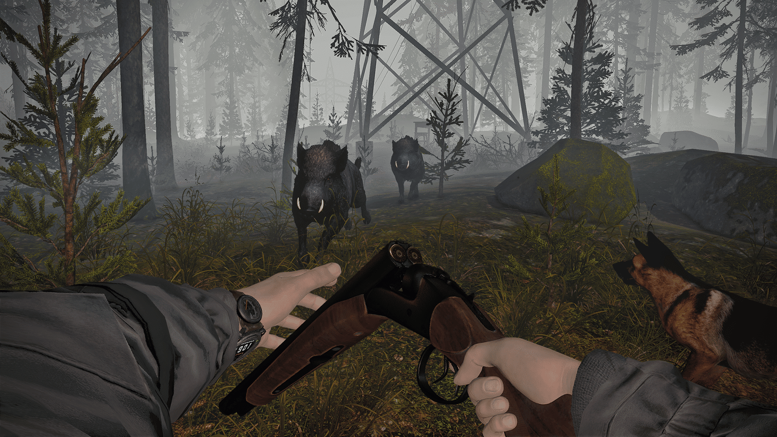 Изображение из объявления Steam