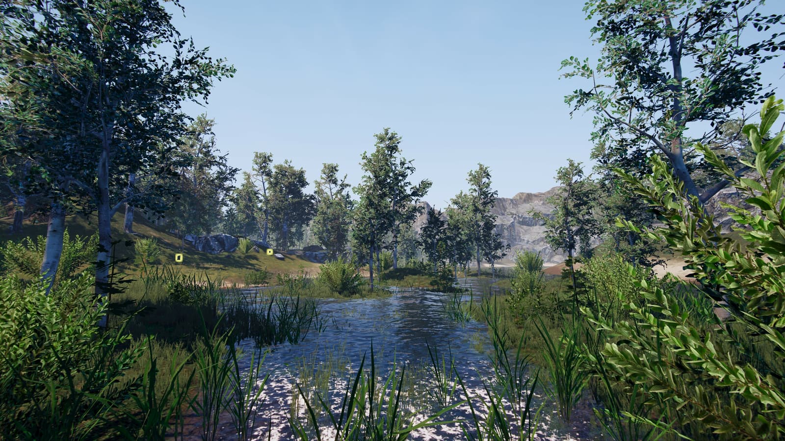 Изображение из объявления Steam