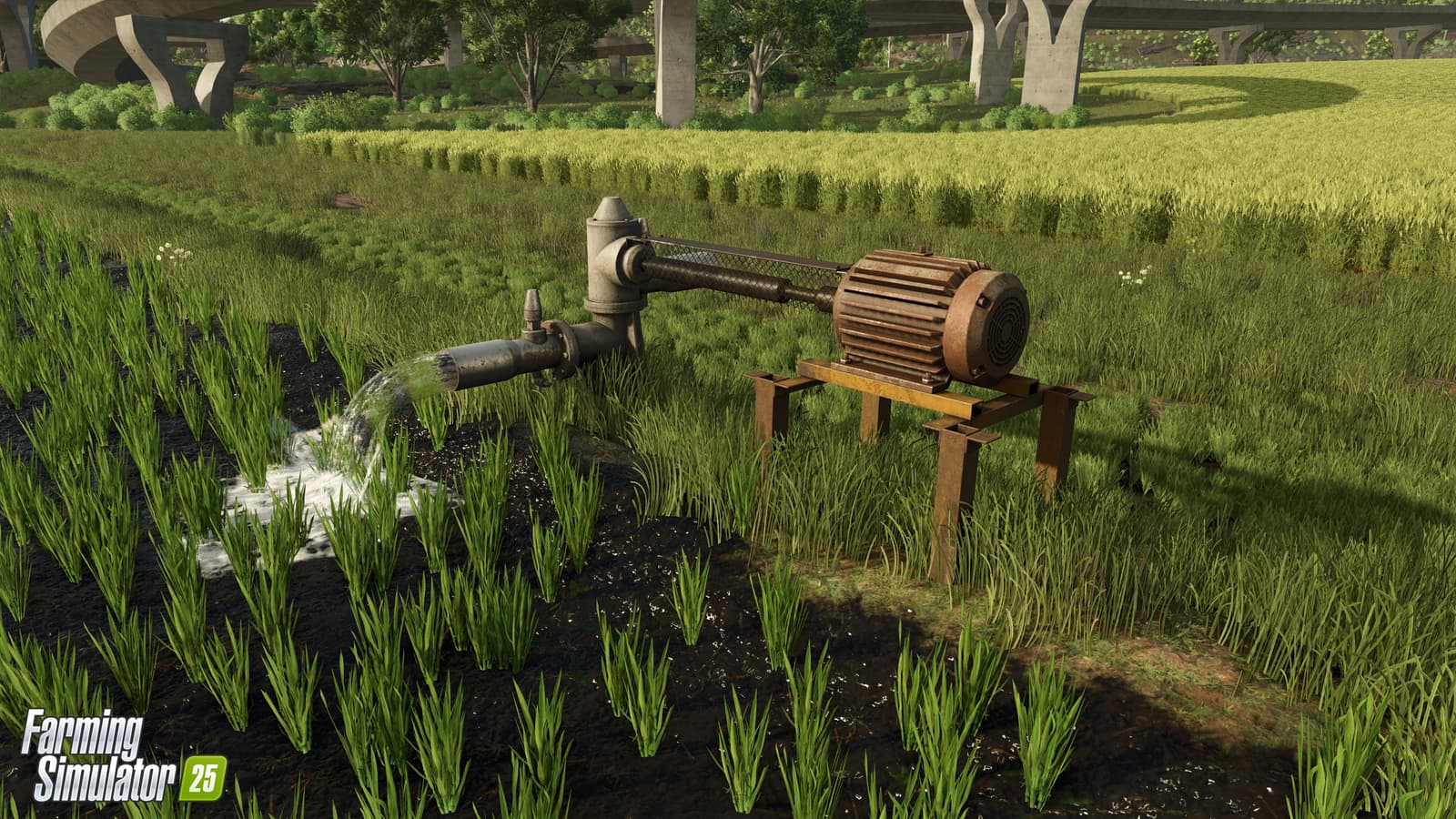 Изображение из объявления Steam