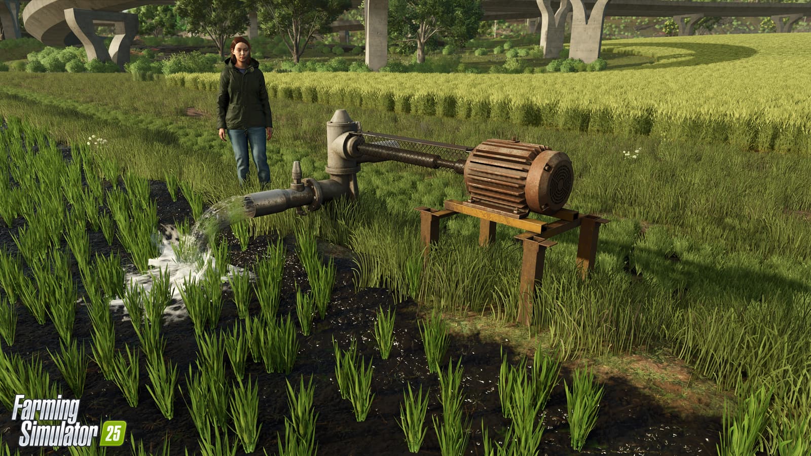 Изображение из объявления Steam