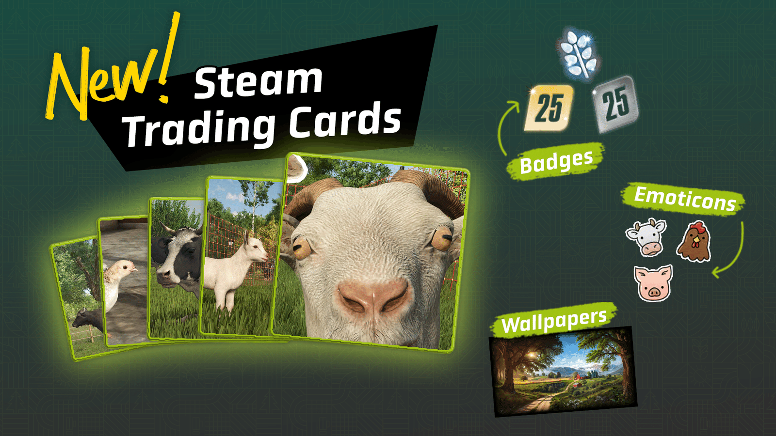 Изображение из объявления Steam
