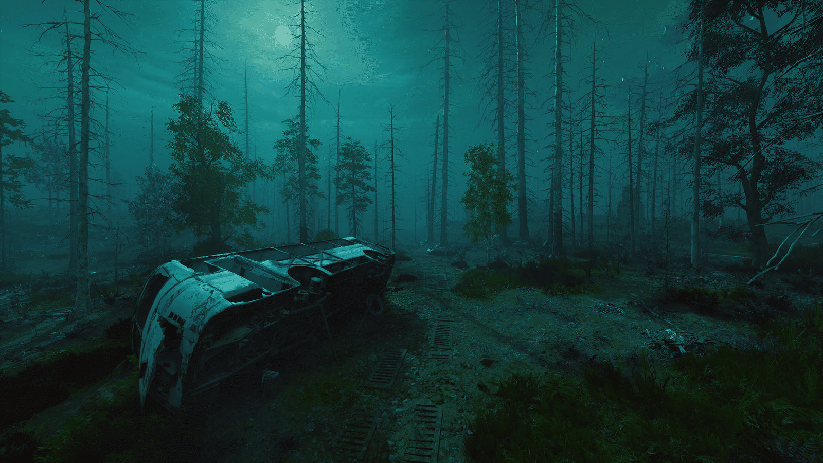 Изображение из объявления Steam
