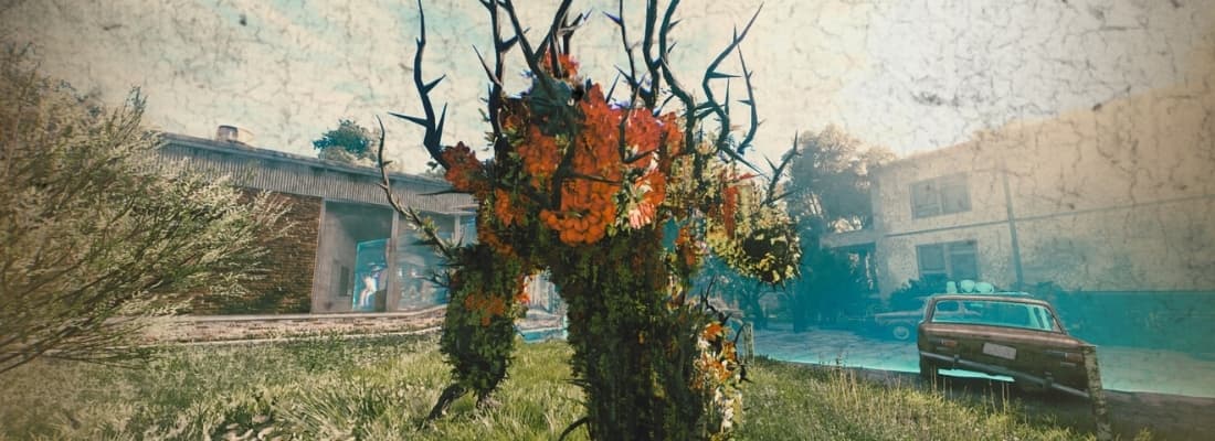 Изображение из объявления Steam