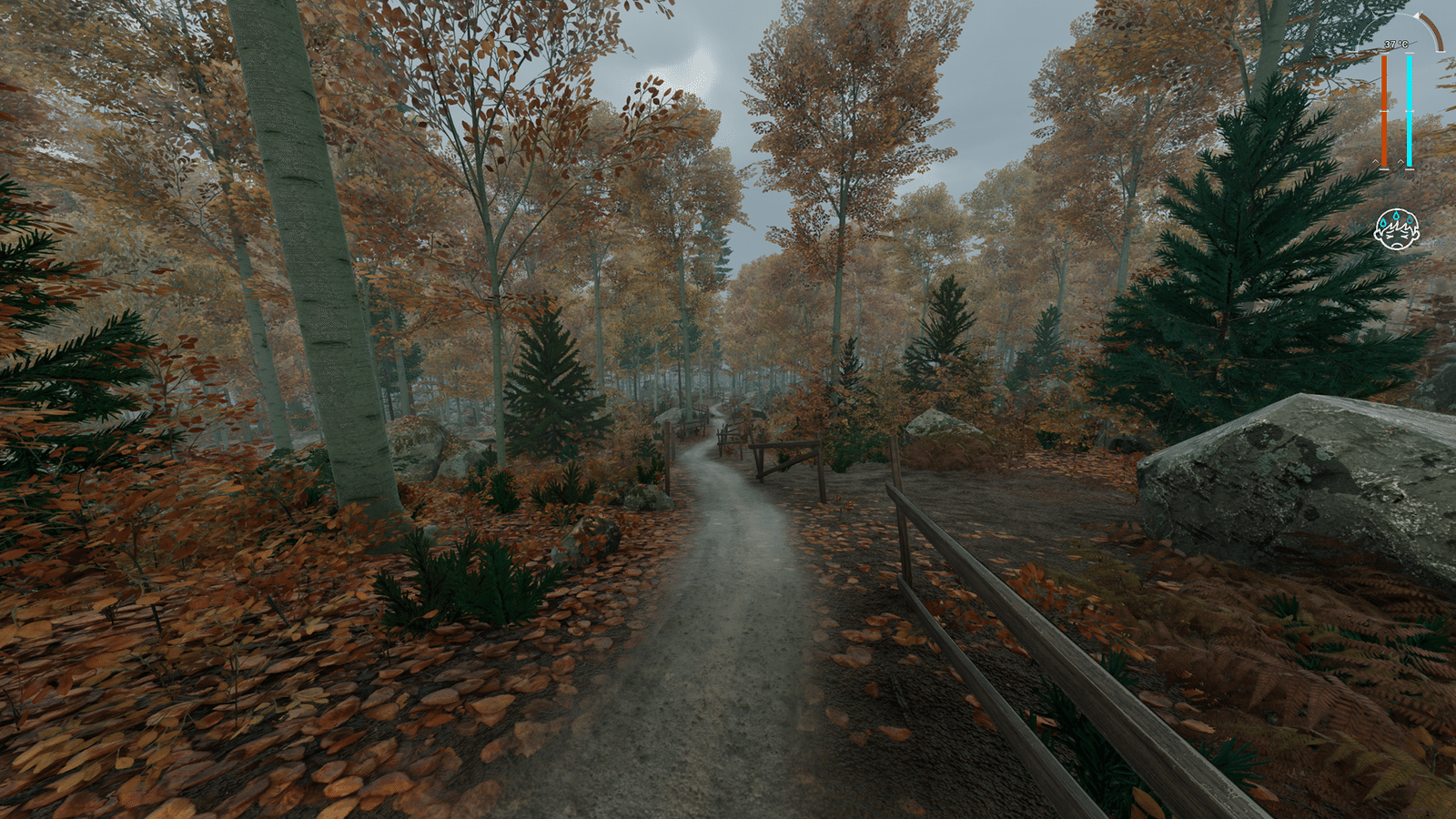 Изображение из объявления Steam