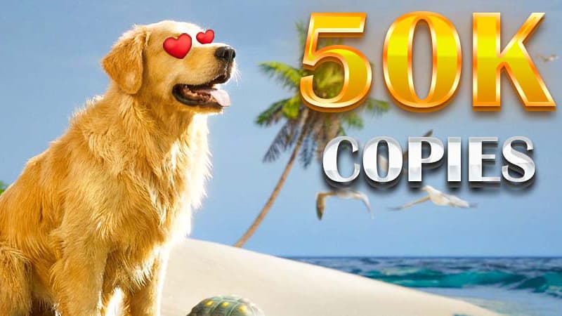Изображение из объявления Steam