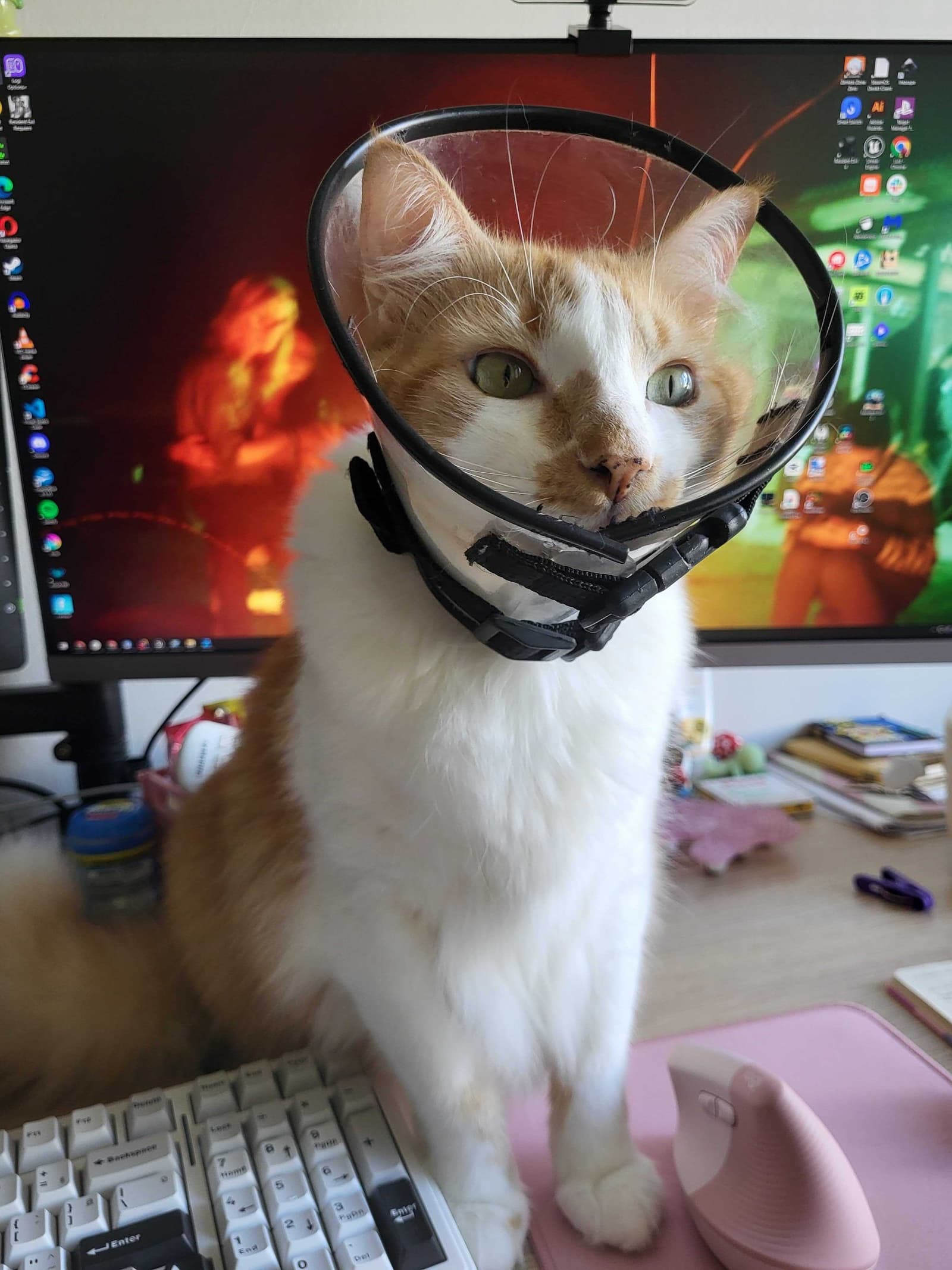 Изображение из объявления Steam