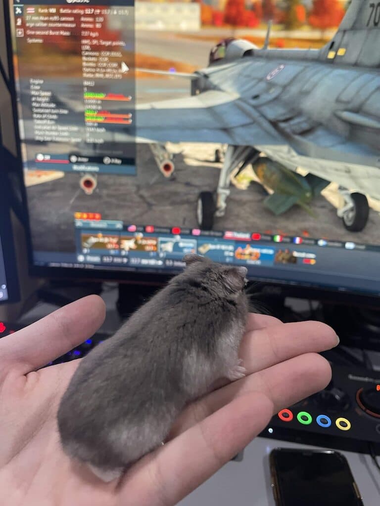Изображение из объявления Steam