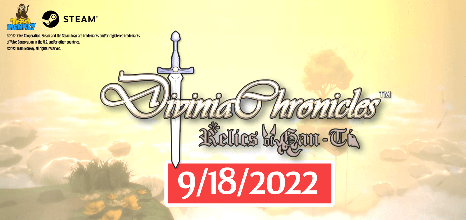 Изображение из объявления Steam