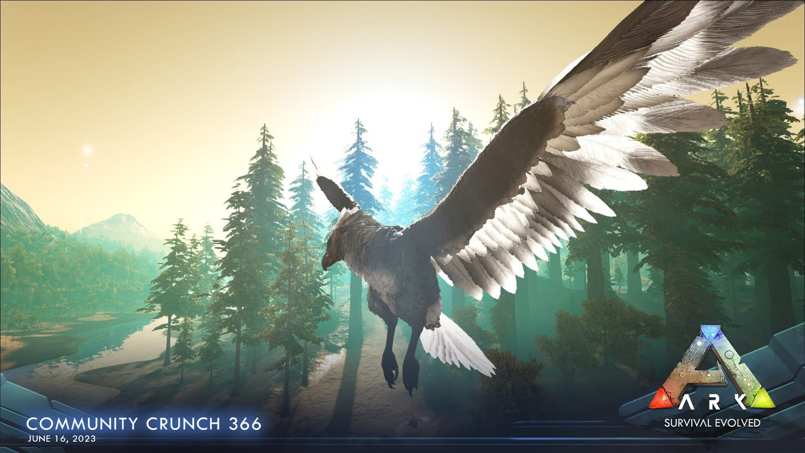 Изображение из объявления Steam
