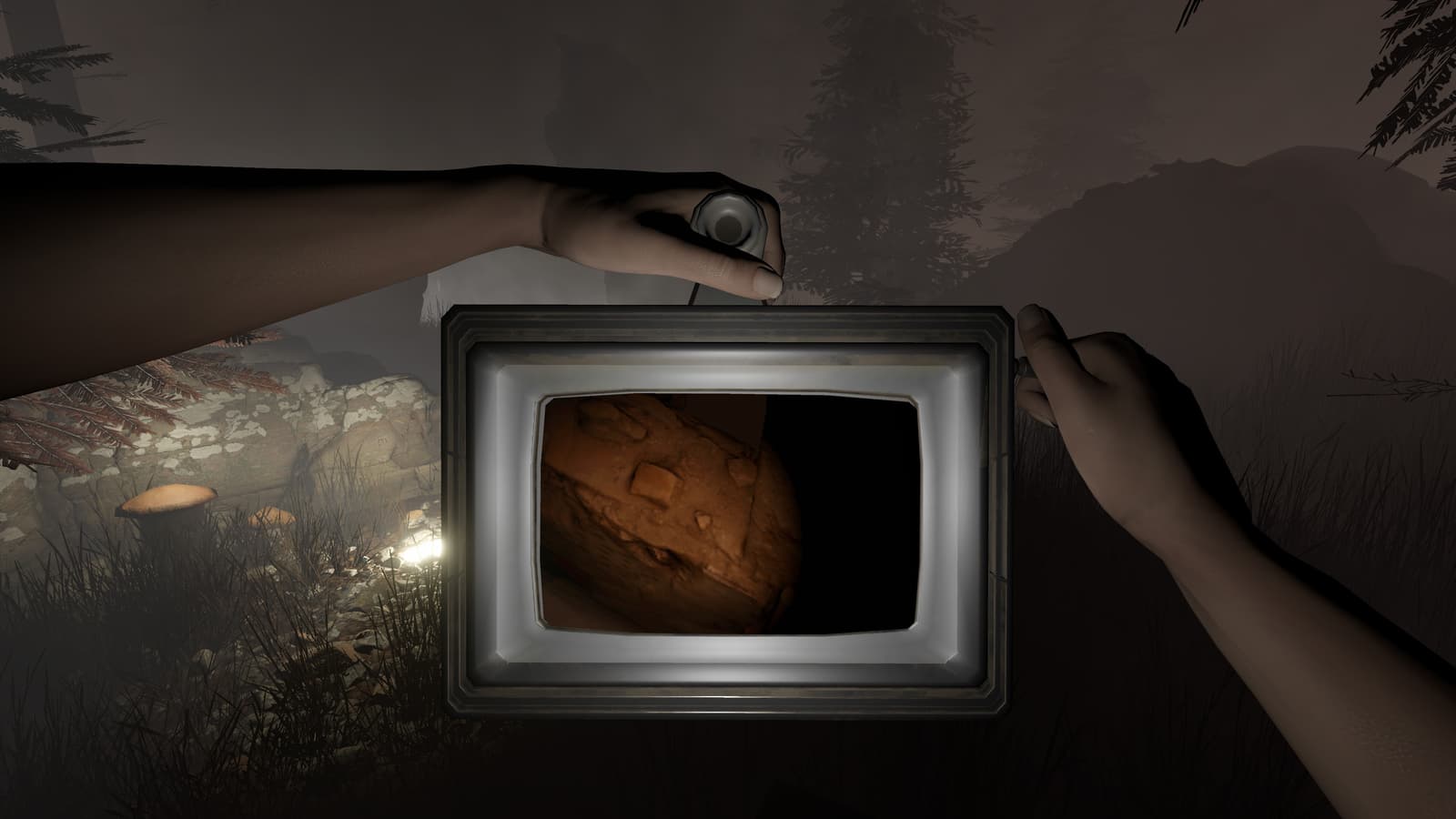 Изображение из объявления Steam