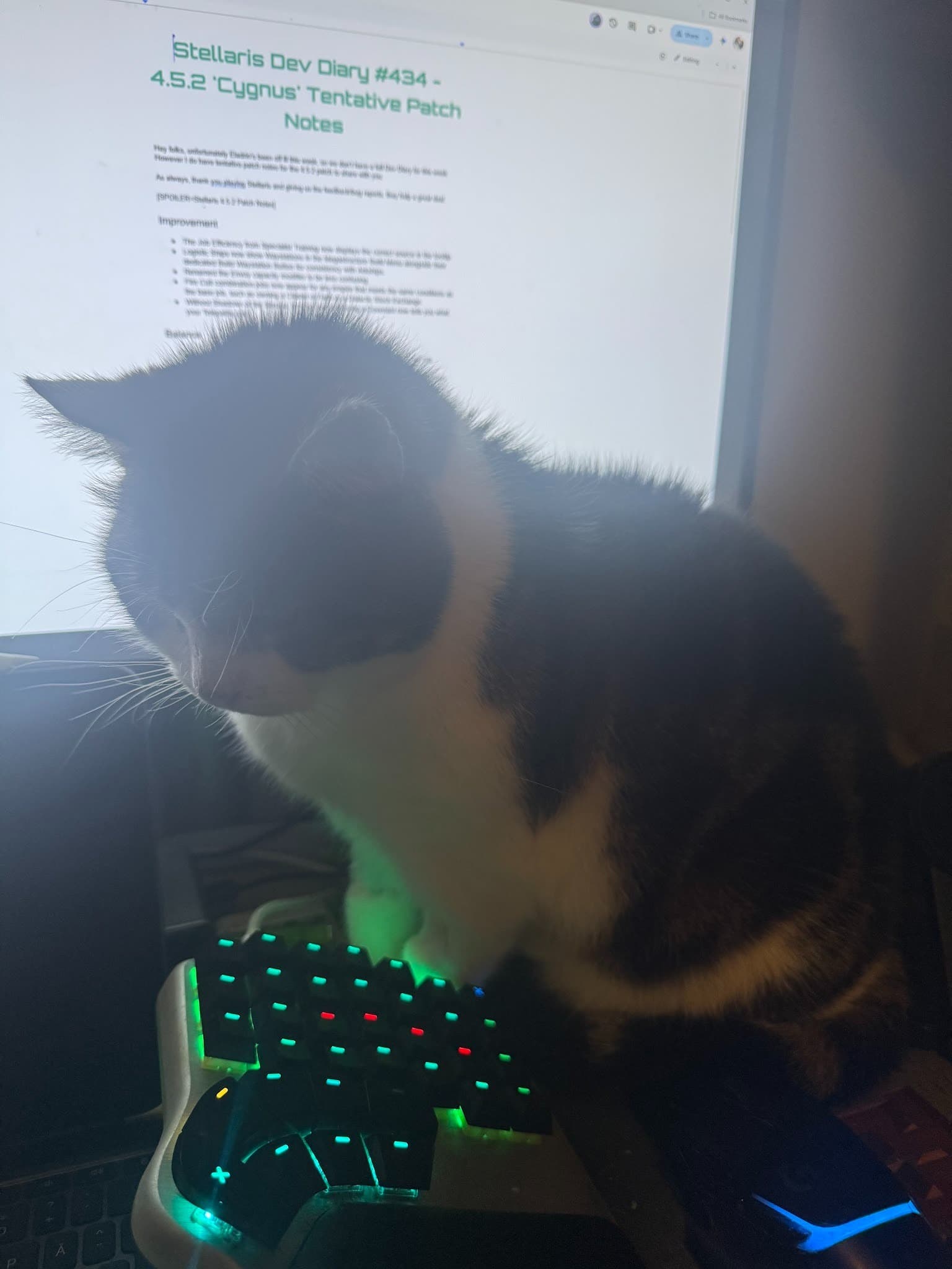Изображение из объявления Steam