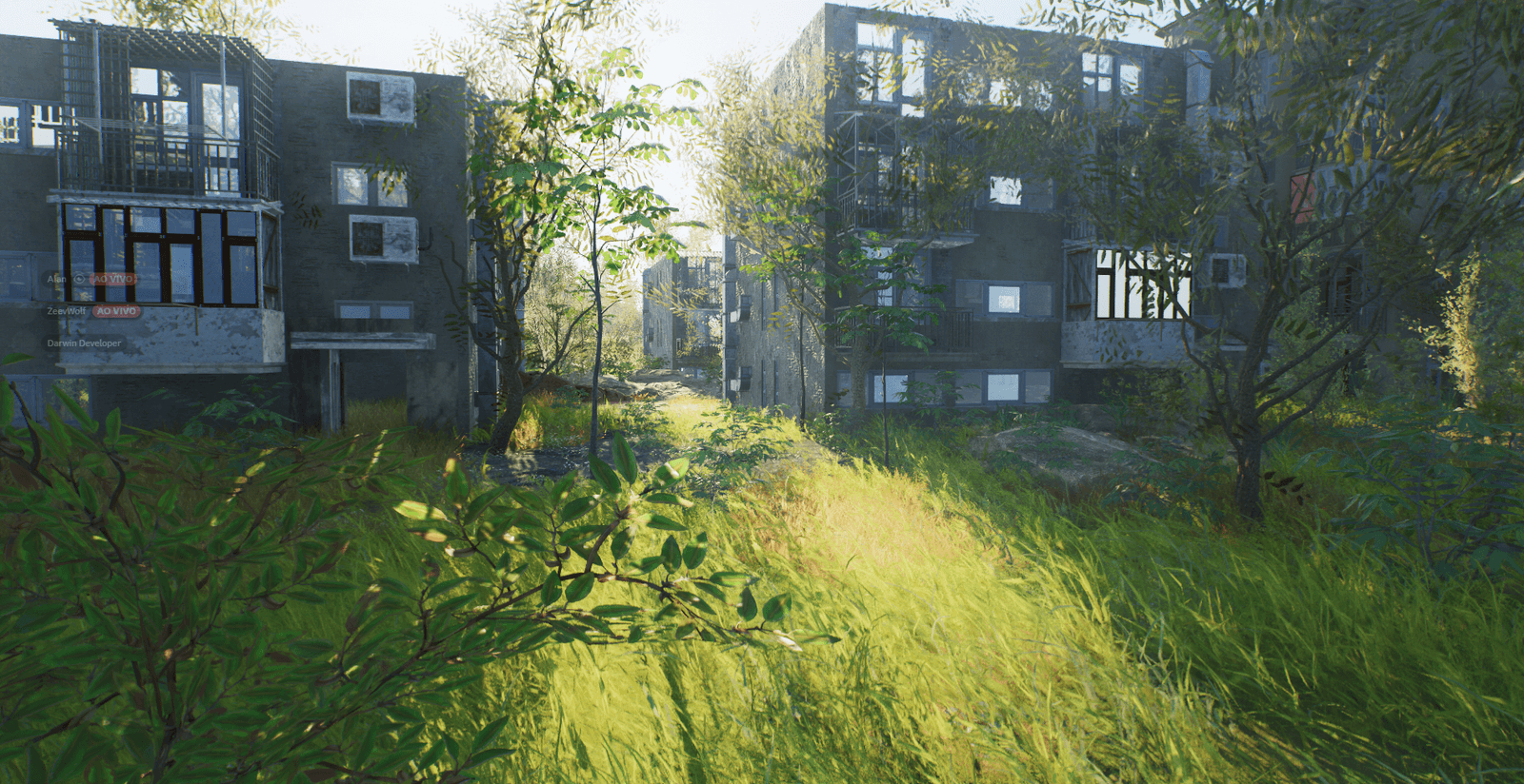 Изображение из объявления Steam
