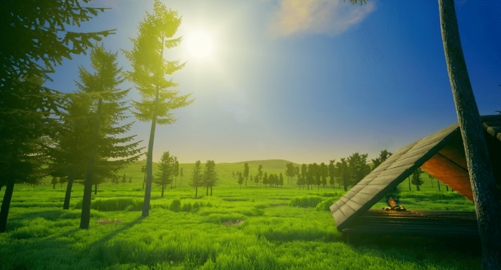 Изображение из объявления Steam