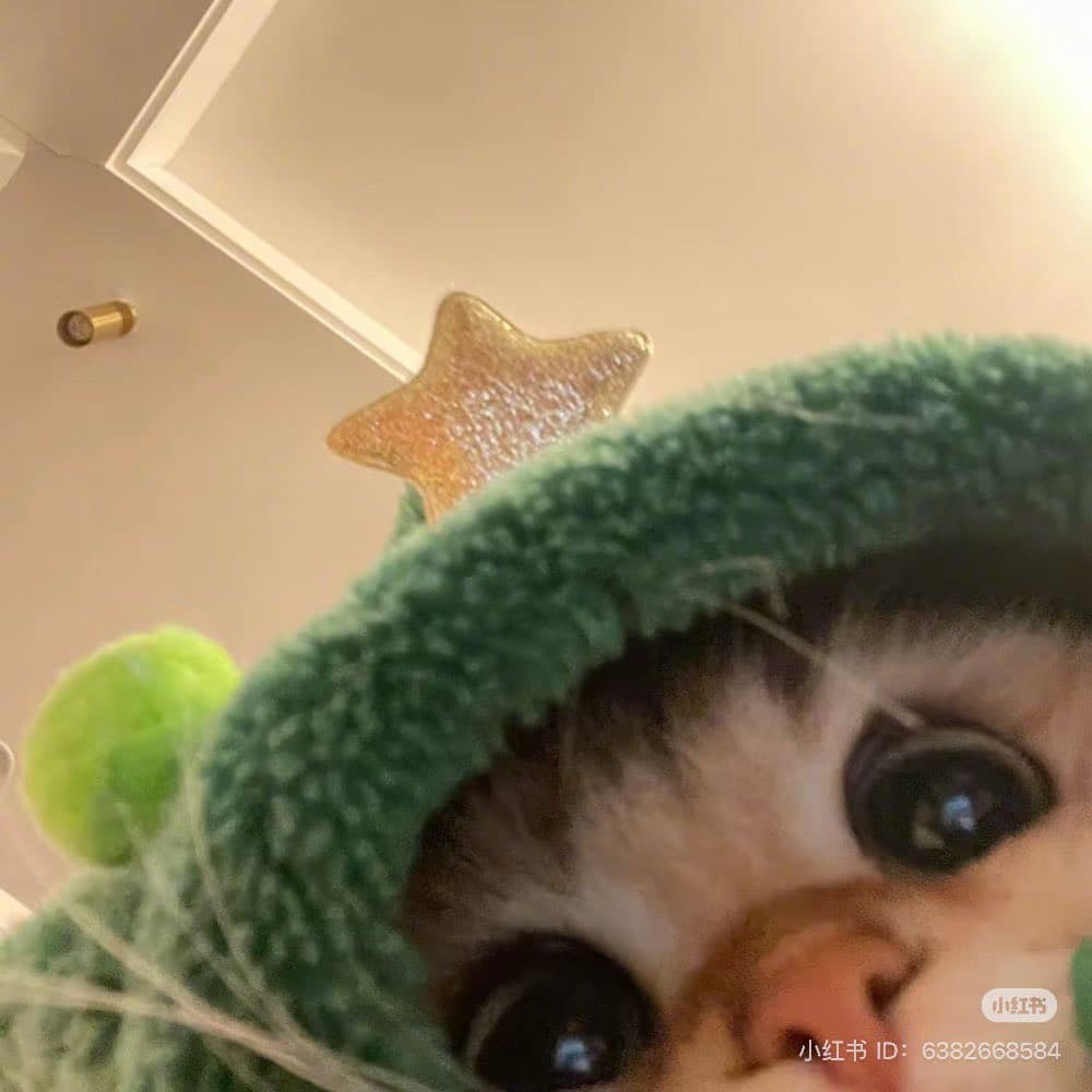 cat mlem sonar