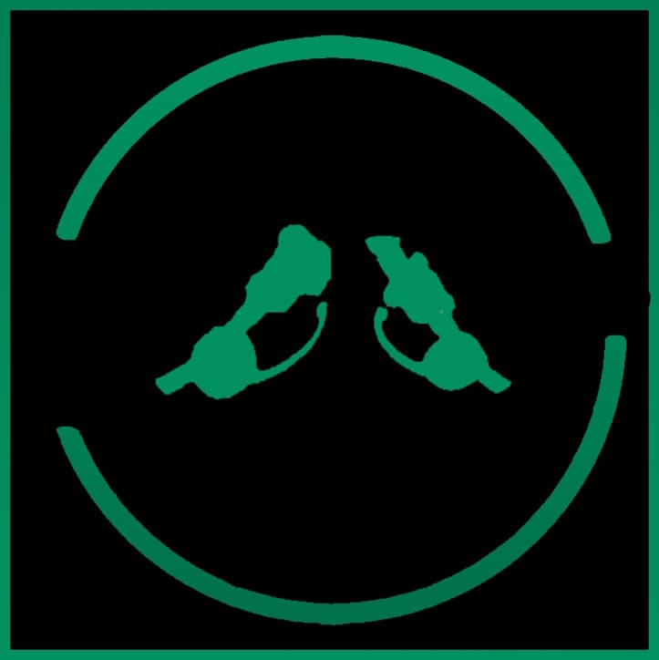 Combat Overhaul Legacy - tactical headset add-on