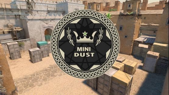 Mini dust