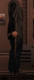 the docs cane