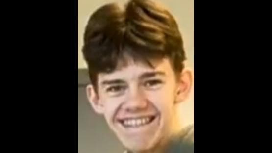Sander
