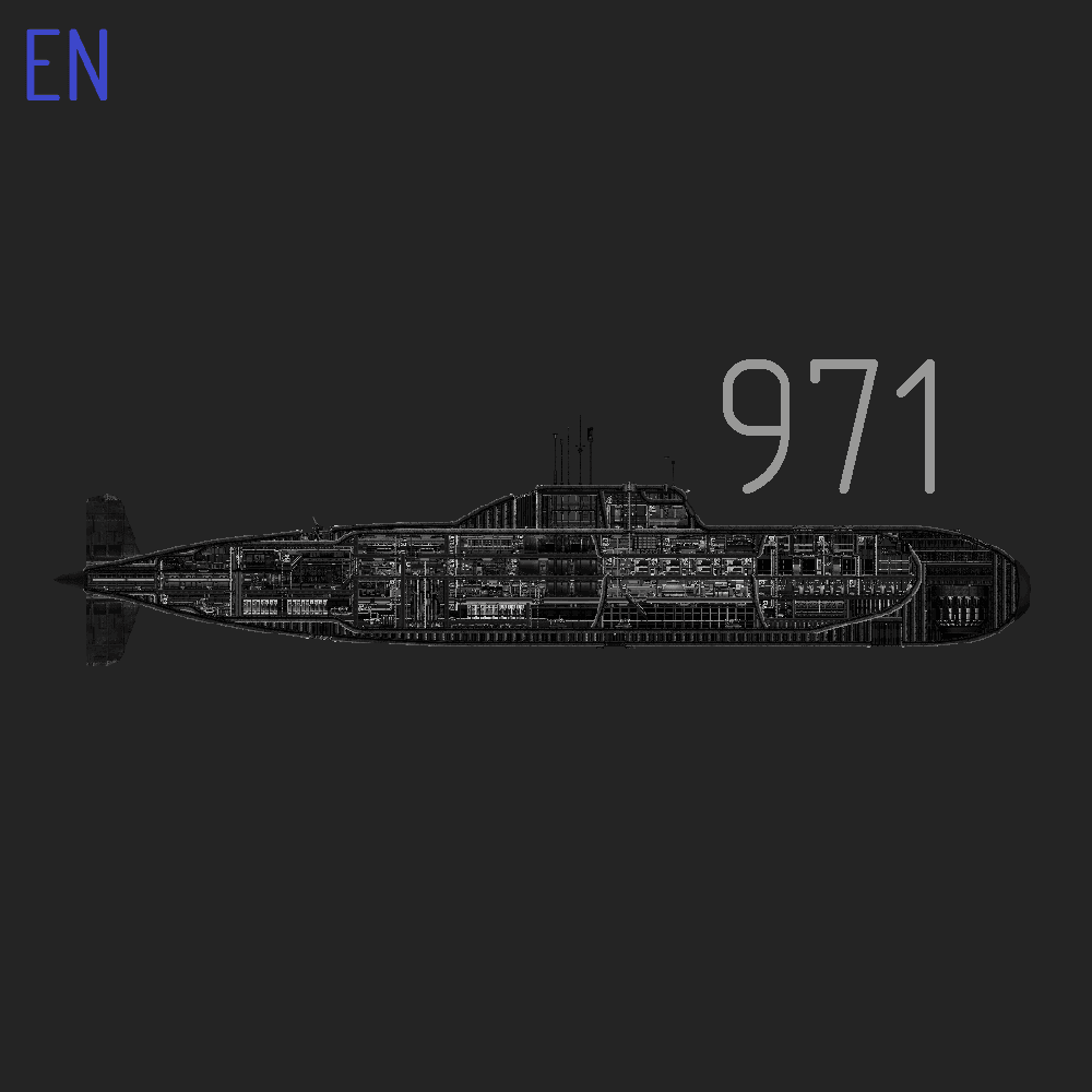 Project 971