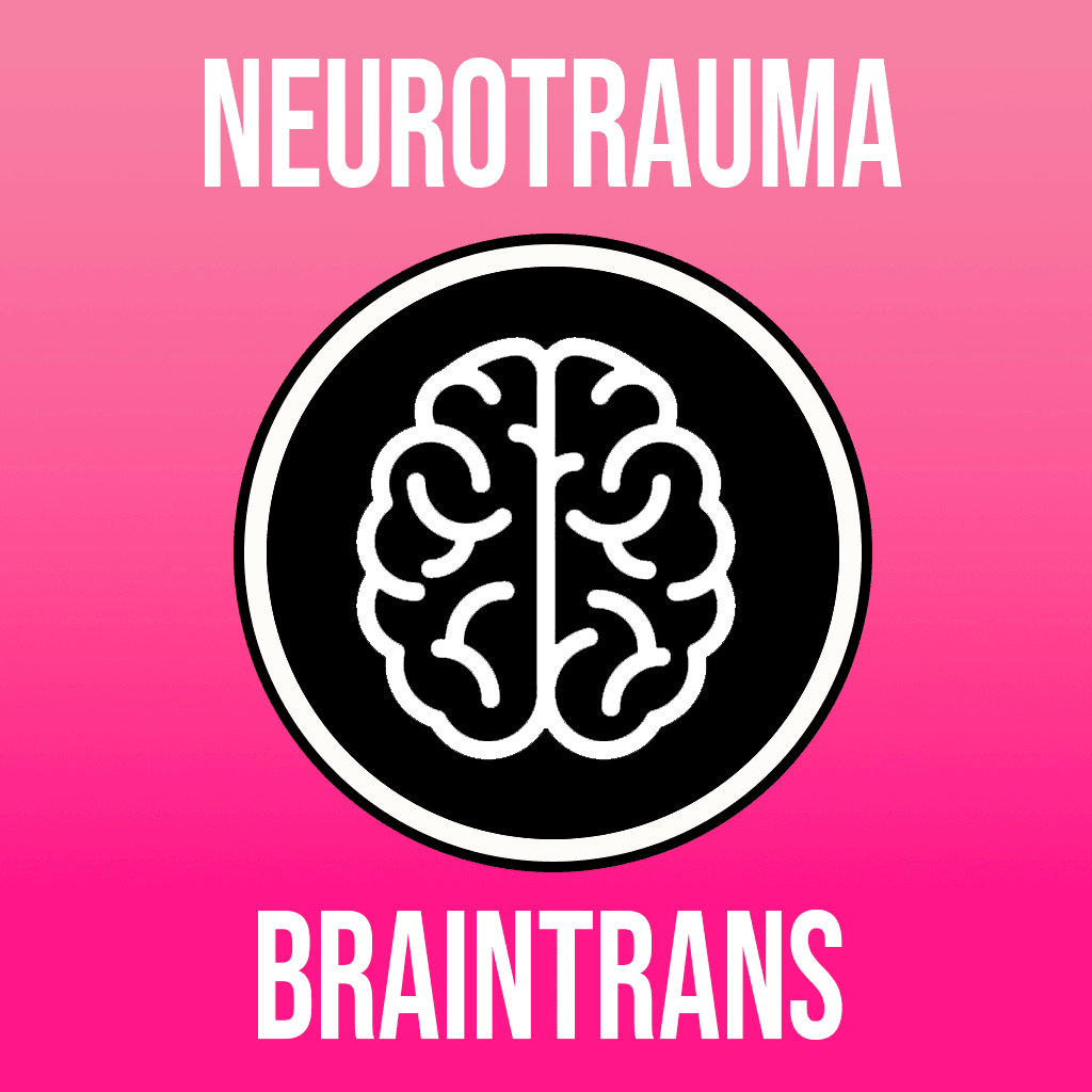 NT BrainTrans (BETA)