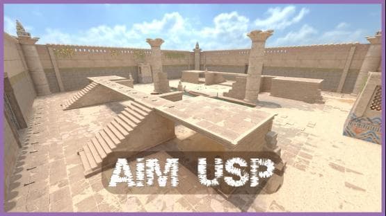 Aim USP