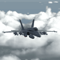 F/A-18D [A-A] | COMBAT ADVANCED