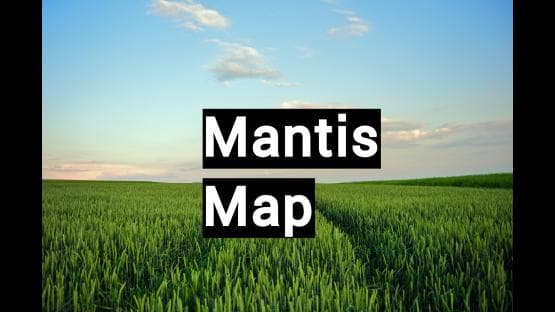 Mantis