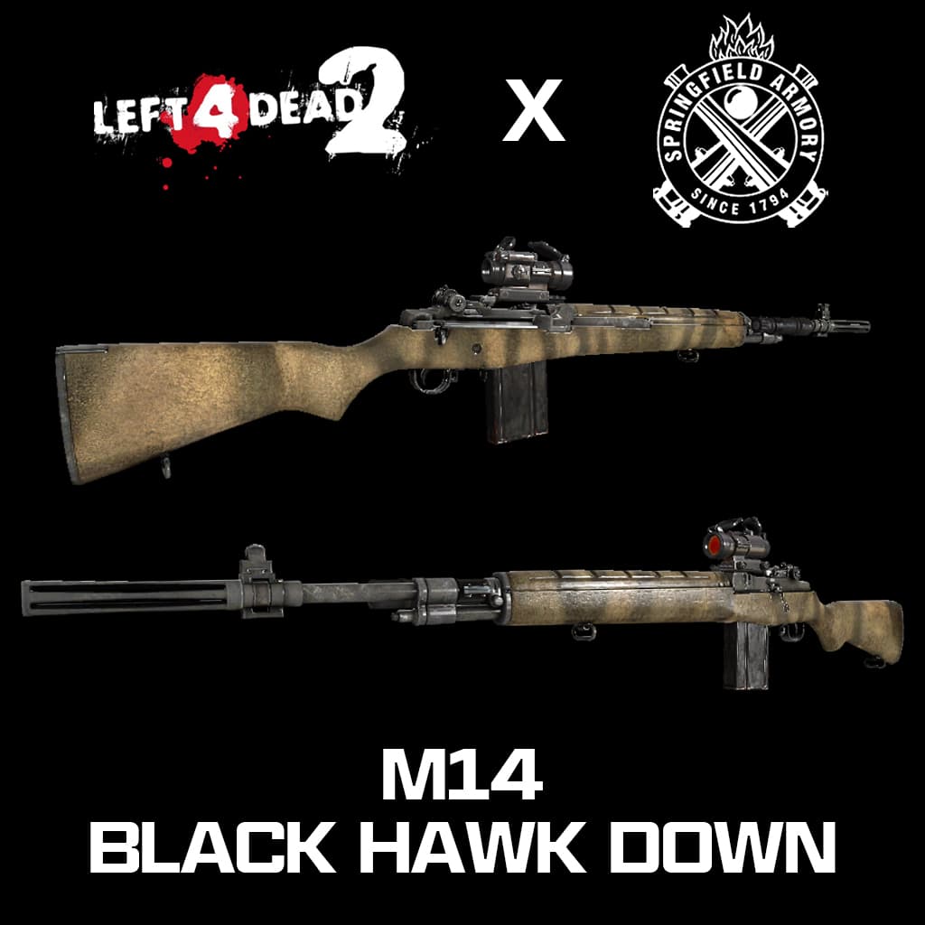 M14 Black Hawk Down (Hunting Rifle)
