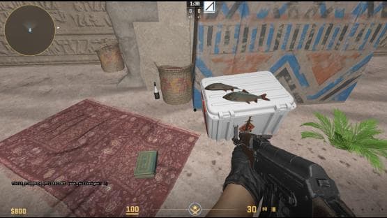AIM_PAKISTAN