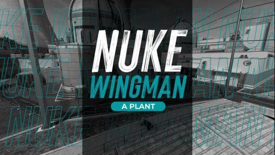 Nuke WINGMAN 2x2