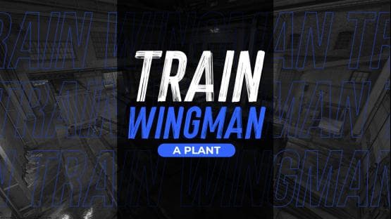 Train WINGMAN 2x2