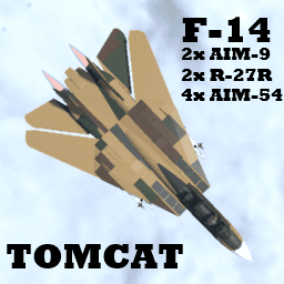 F-14AM [COMBAT ADVANCED]