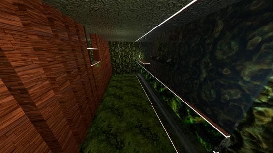 kz_chloroplast