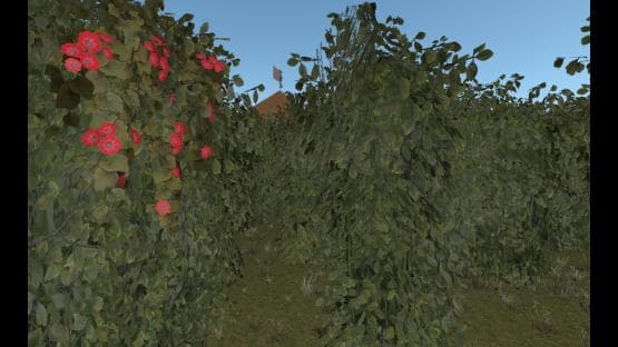 Secret Garden
