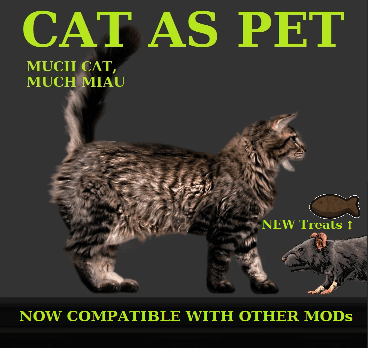 Cat as Pet