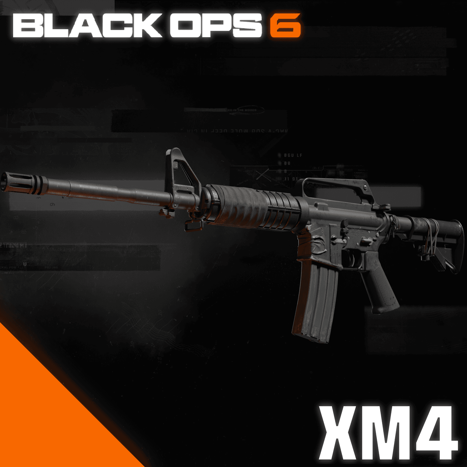 [MW Base] Black Ops: 6 - XM4