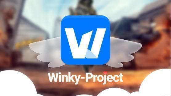 winky_assets