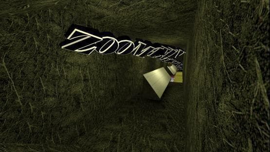 surf_zoomathon