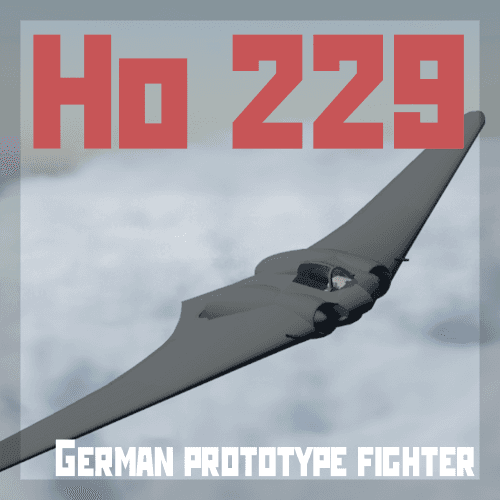 Ho 229