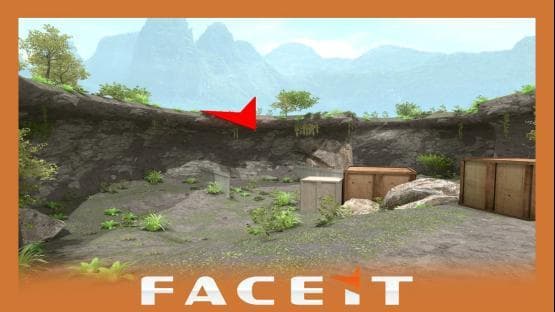 P250 Windrose FACEIT