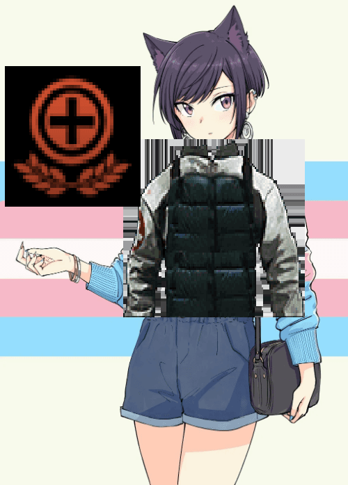 Cat Medic