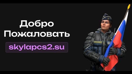 skylapcs2.su