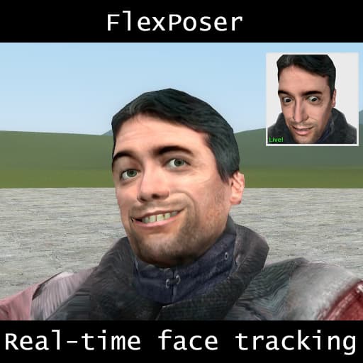 FlexPoser: Real-time face tracking and animation