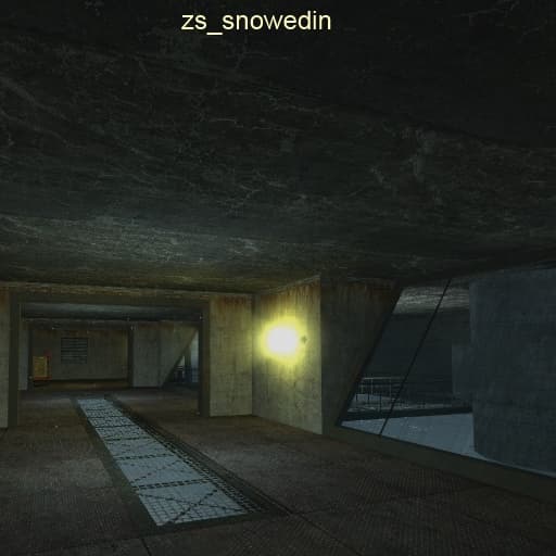 zs_snowedin