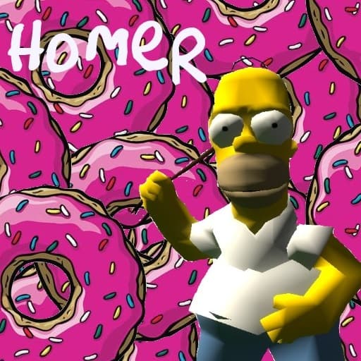 Homer Player model