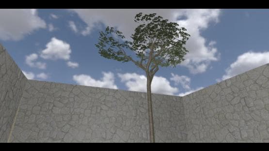 aztec 1v1