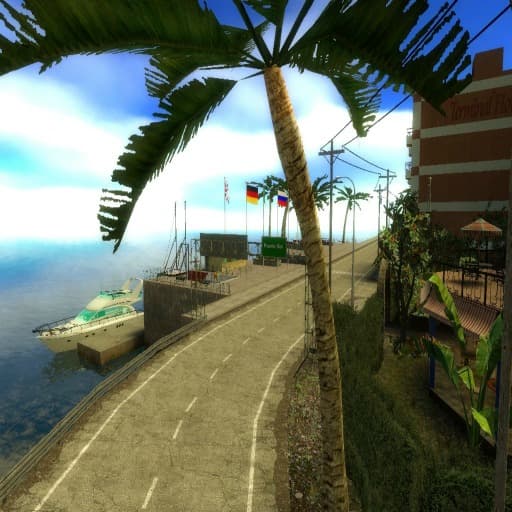 Tropical Fever