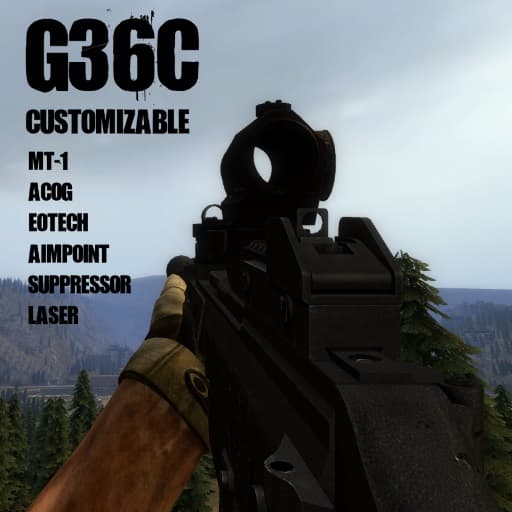 [CW 2.0] G36C